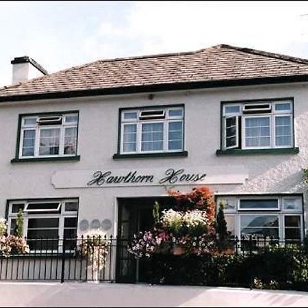 Hawthorn House Guesthouse ケンメア エクステリア 写真