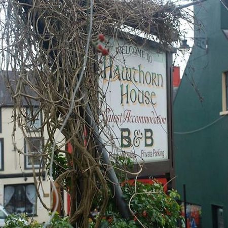 Hawthorn House Guesthouse ケンメア エクステリア 写真