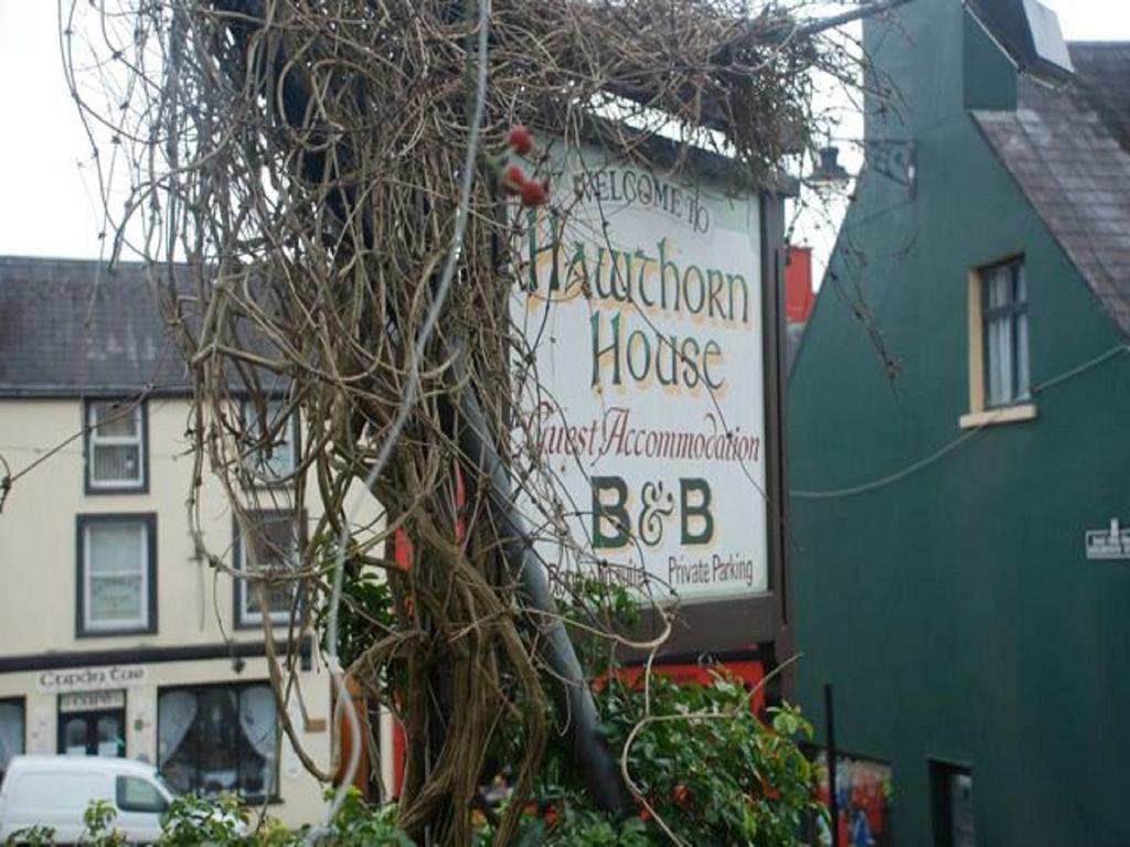 Hawthorn House Guesthouse ケンメア エクステリア 写真